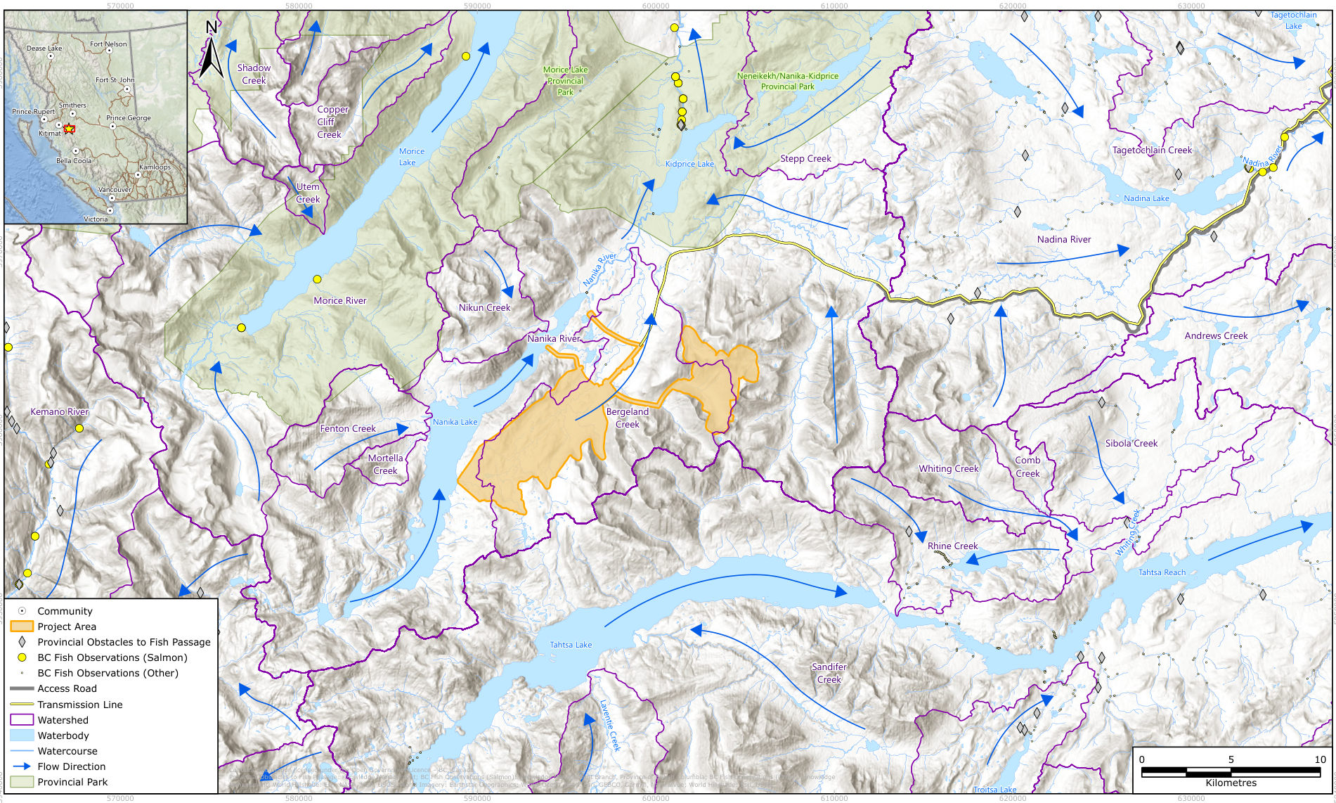 Map of watersheds around the Project Area. The orange Project Area lies at the southeast end of Nanika Lake, around Bergeland Creek. Blue arrows show flow north along the Nanika River toward Kidprice Lake and Morice Lake. Yellow dots mark salmon observations north of Kidprice Lake and along the Morice River; grey diamonds mark obstacles to fish passage.